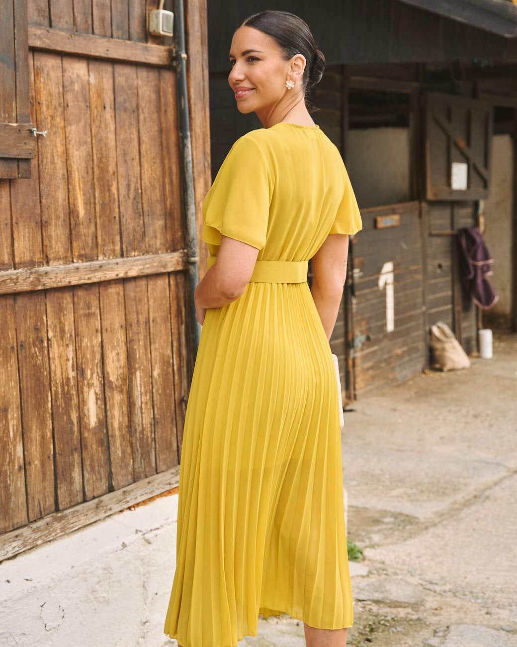 Elodi Pleated Dress