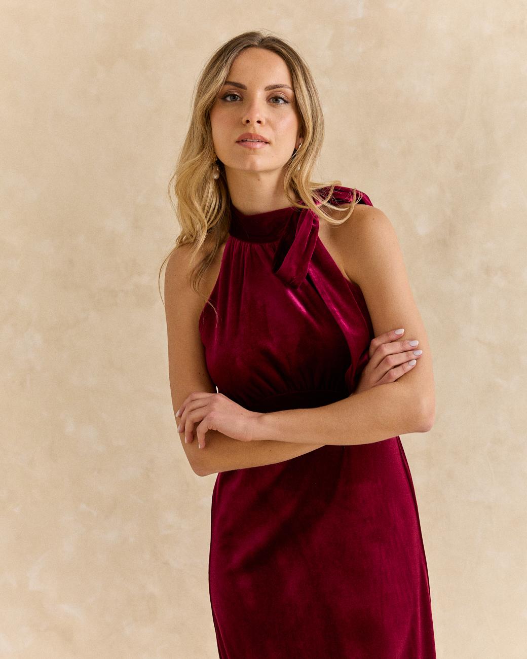 Iria Velvet Dress