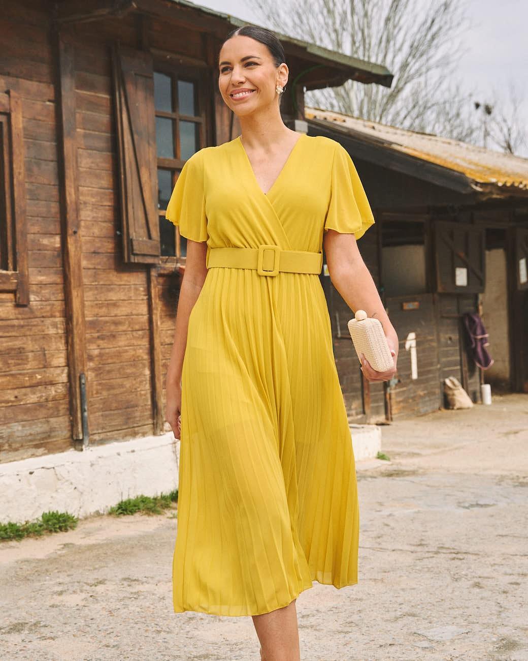 Elodi Pleated Dress