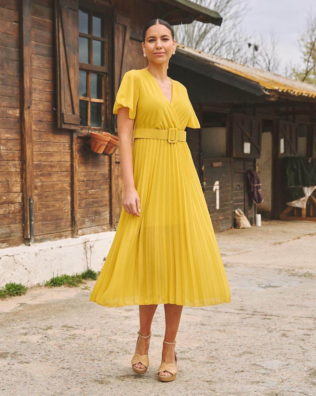 Elodi Pleated Dress