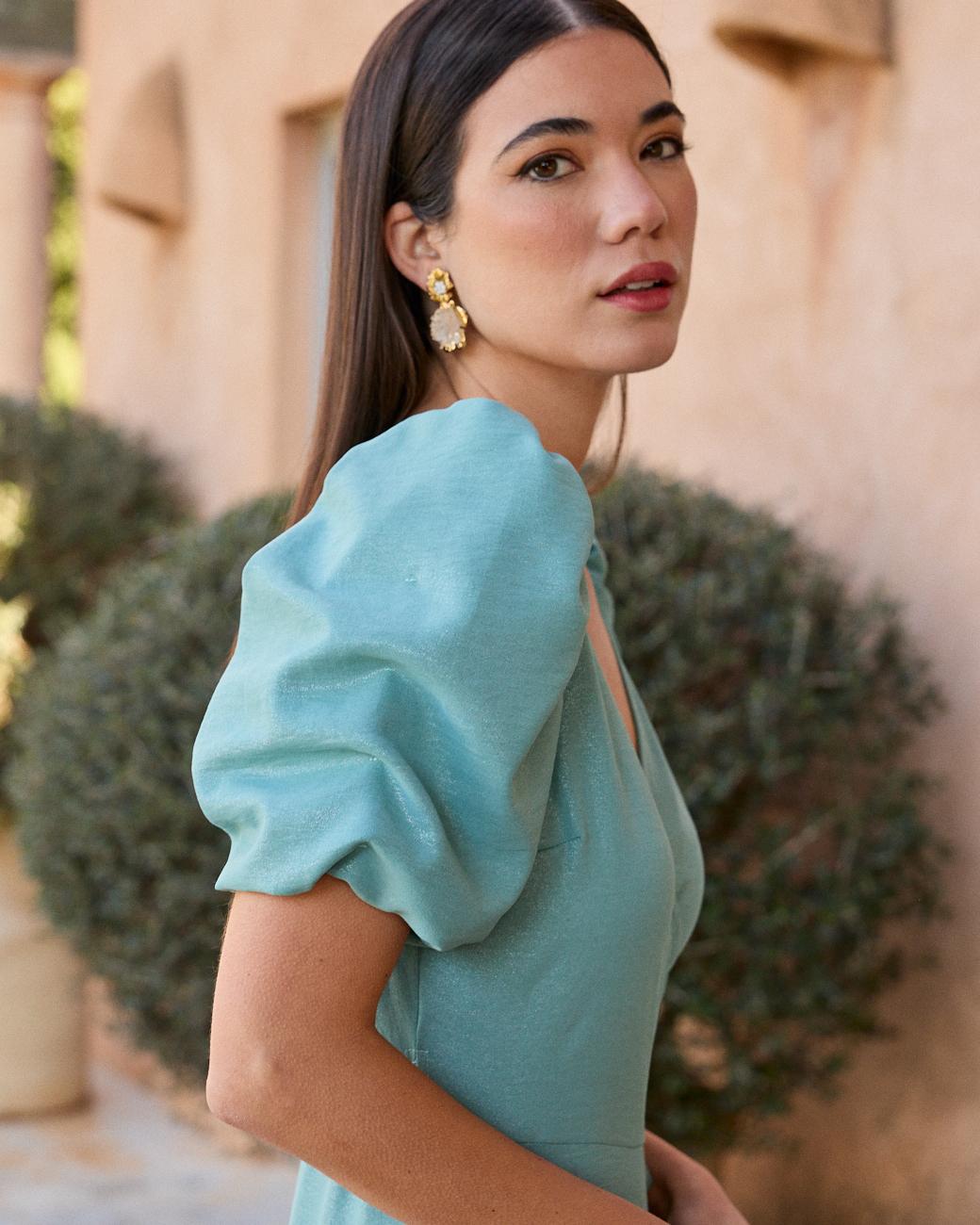 Leane Sleeve Dress